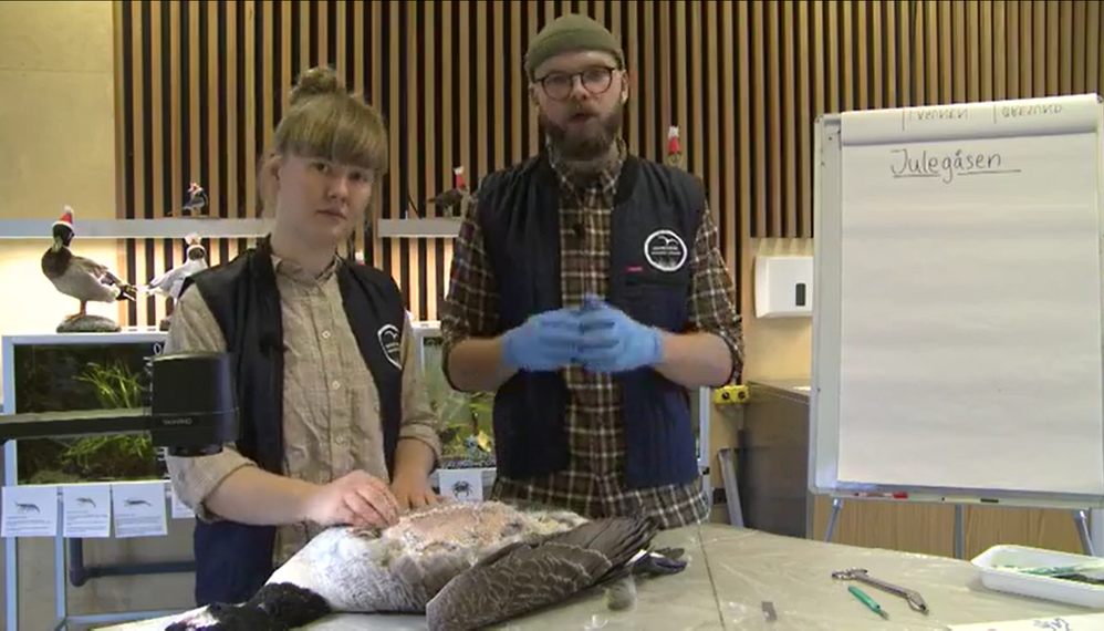 Undervisere på Naturcenter Amager Strand