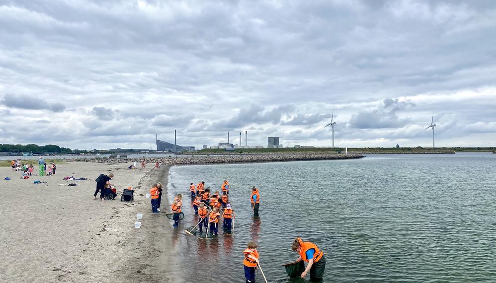 Børn undervises på Naturcenter Amager Strand