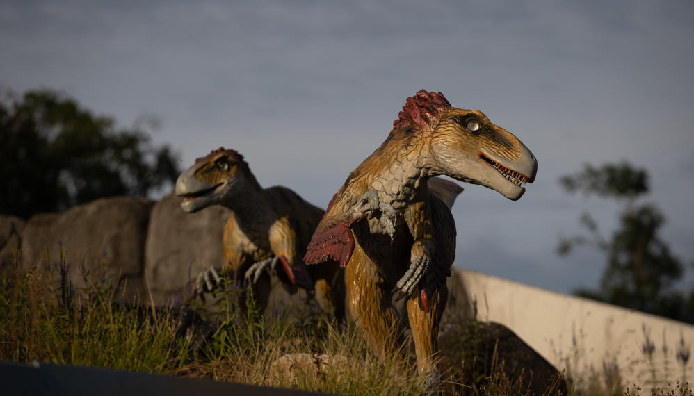 Dinosaure på Zoo