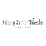 Aalborg Symfoniorkester Skoletjenesten Undervisningstilbud