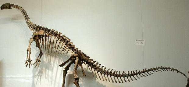 Byg en rigtig dinosaur