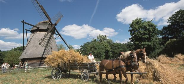 1800-tallet, landbrug, bondesamfund