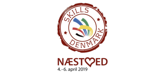 DM i Skills Skoletjenesten undervisningstilbud