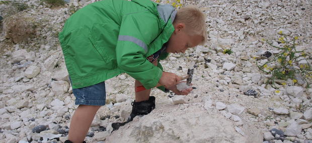 På fossiljagt i Faxe Kalkbrud