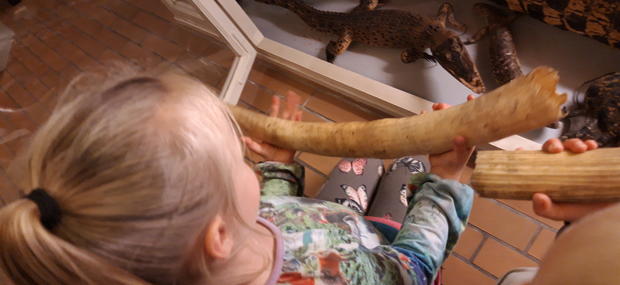 etnografi på Bornholms Museum