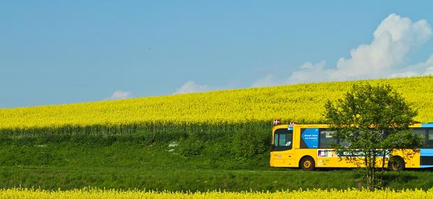 Bus, tog m.v.