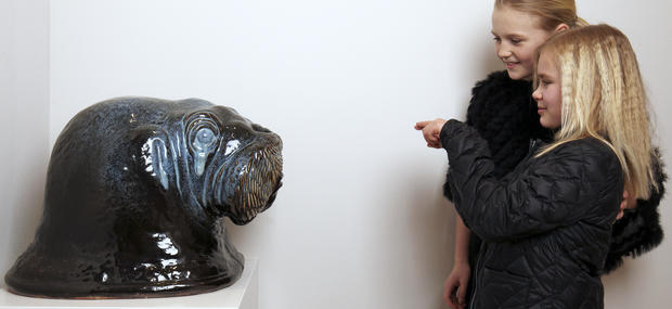 Jeanne Gruts skulptur af Hvalrossen Gustav studeres. CLAY Keramikmuseum