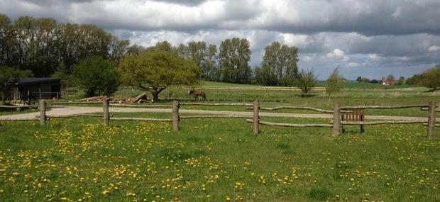Natur Skoletjenesten undervisningstilbud