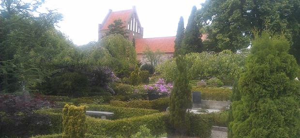 Udsigt over den gamle kirkegård i Farum. I forgrunden ses traditionelle grave med stedsegrønne hække imellem. I bagrunden ses middelalderkirken, Farum Kirke.
