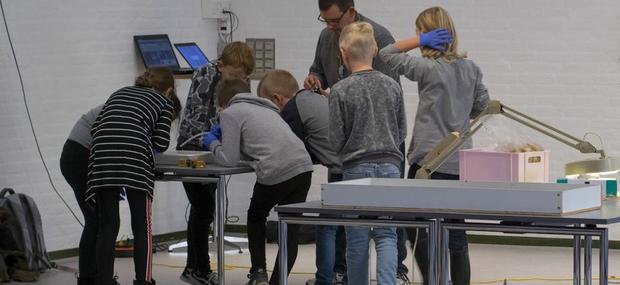 Det kribler Kulturtjenesten Skoletjenesten undervisningstilbud