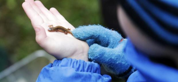 Naturskolen Kulturtjenesten Skoletjenesten undervisningstilbud