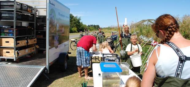 Naturtraileren Kulturtjenesten Skoletjenesten undervisningstilbud
