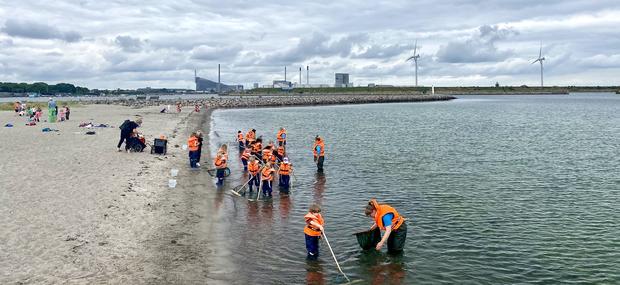 Børn i waders i vandet