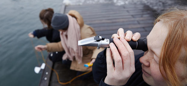 Elever måler salinitet og sigtbarhed i Københavns Havn