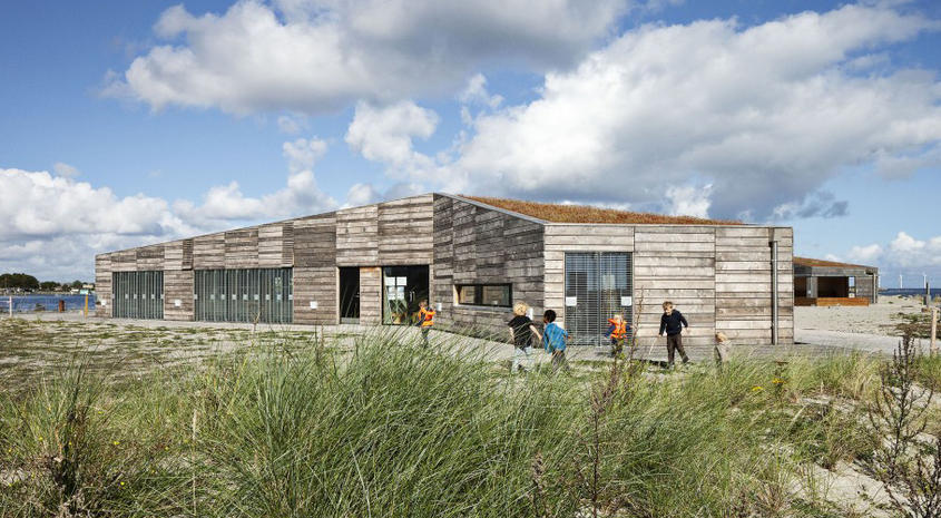 Naturcenter Amager Strand Skoletjenesten undervisningstilbud