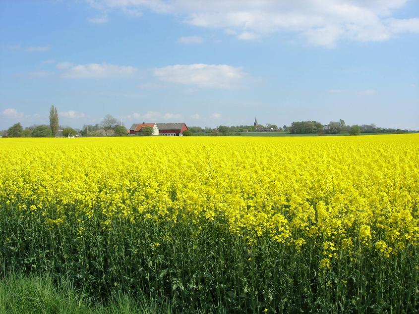 Skoletjenesten öresund øresund Skoletjenesten undervisningstilbud