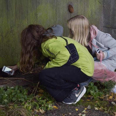Elever undersøger på NaturBornholm