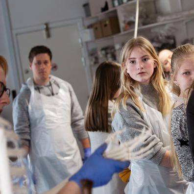 Elever på Københavns Museum kigger på skelet
